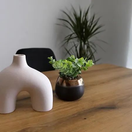 Luxury Gino Apartamento *