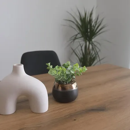 公寓 Luxury Gino 比比涅